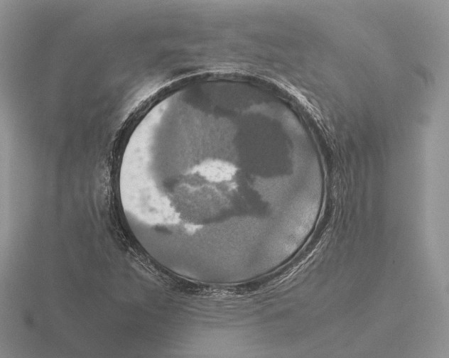 X0000115661263200912101044