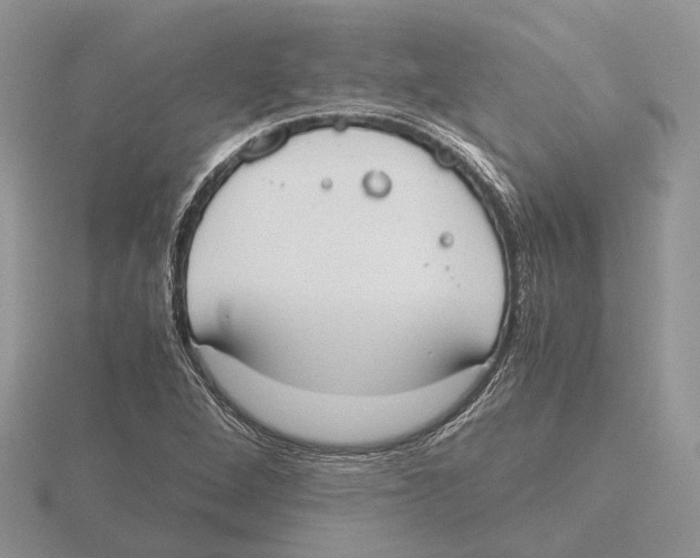 X0000115661264200912101044