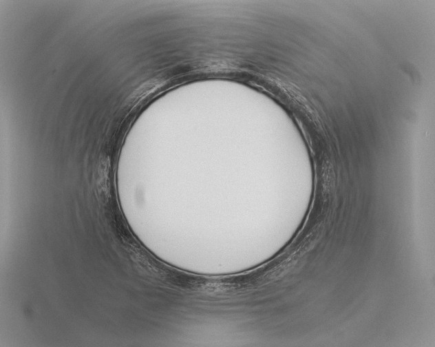 X0000115661265200912101044