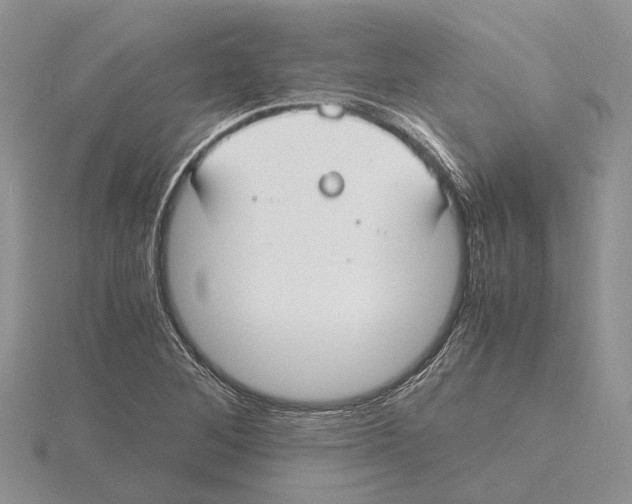 X0000115661268200912101044