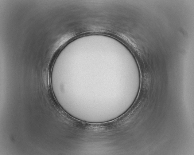 X0000115661269200912101044