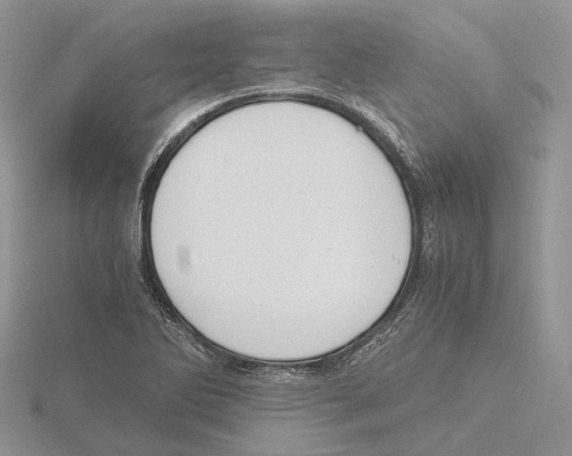 X0000115661270200912101044