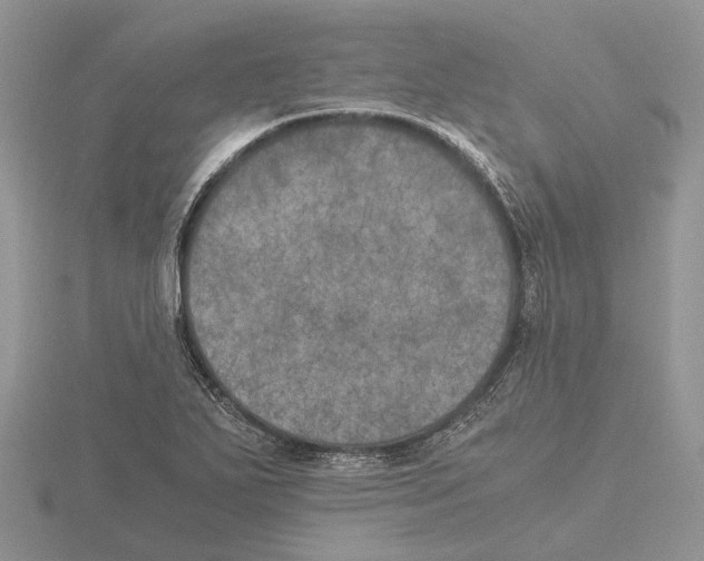 X0000115661271200912101044