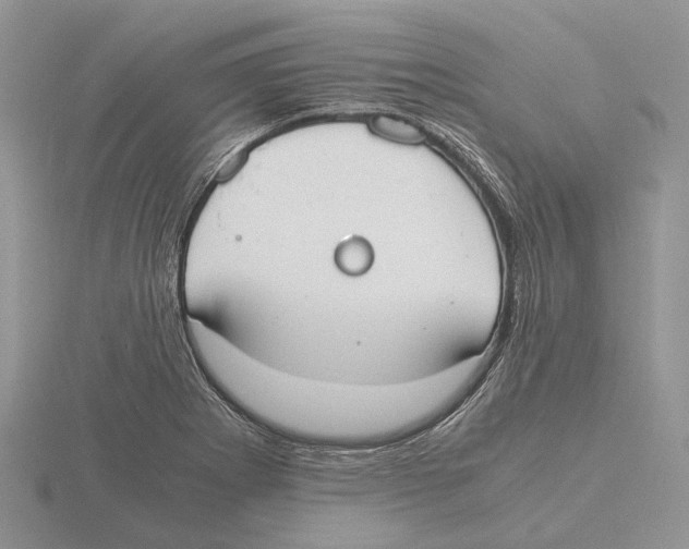 X0000115661273200912101044