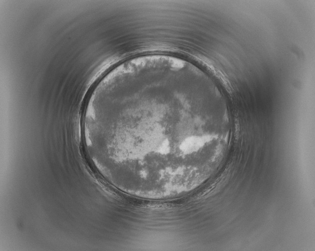 X0000115661274200912101044