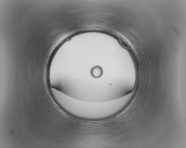 X0000115661277200912101044