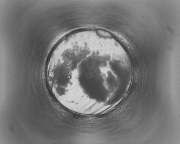 X0000115661279200912101044