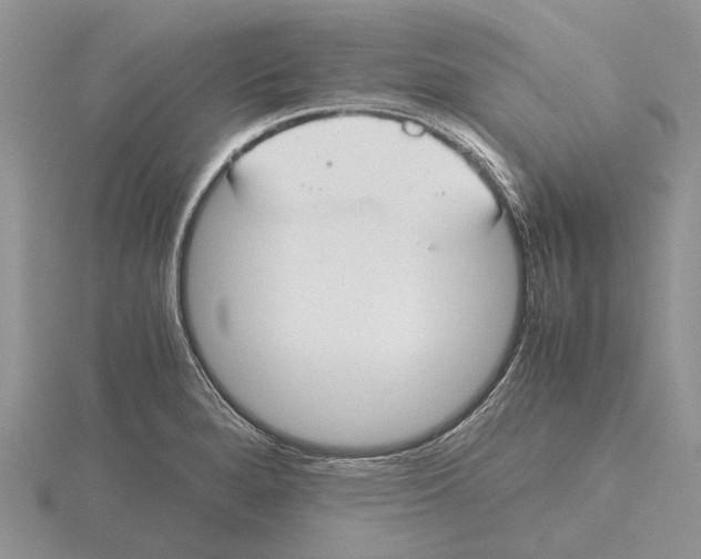 X0000115661280200912101044