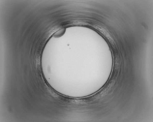 X0000115661281200912101044