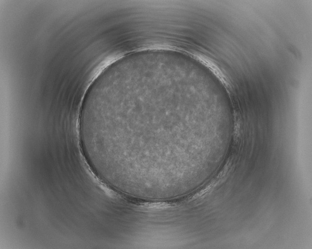 X0000115661282200912101044