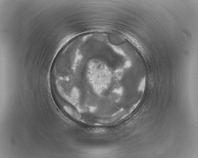 X0000115661283200912101044