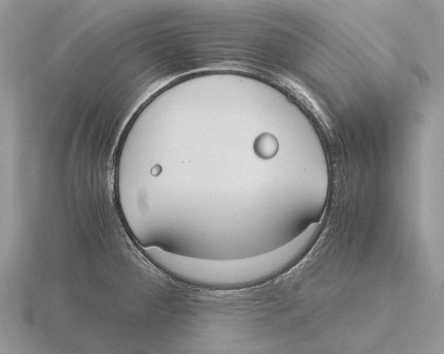 X0000115661284200912101044