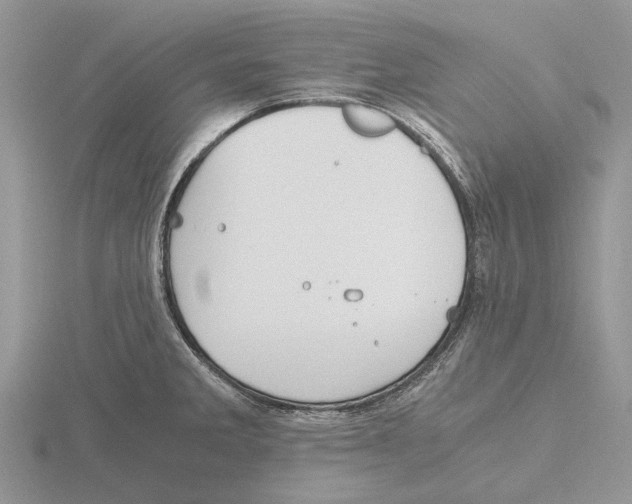 X0000115661285200912101044