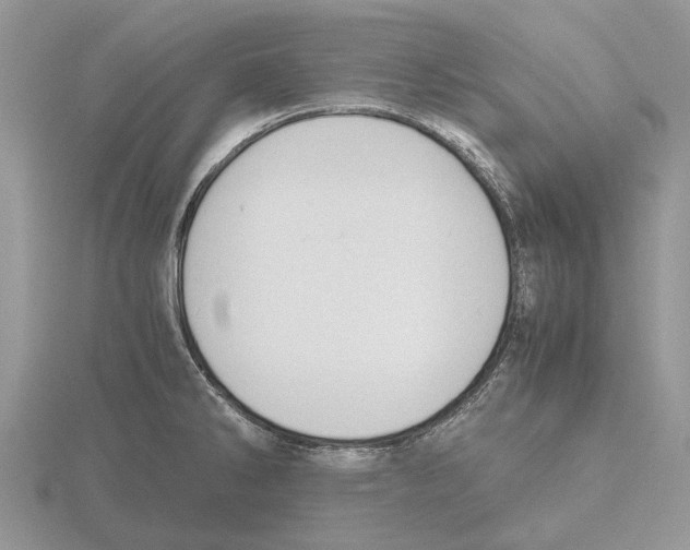 X0000115661286200912101044