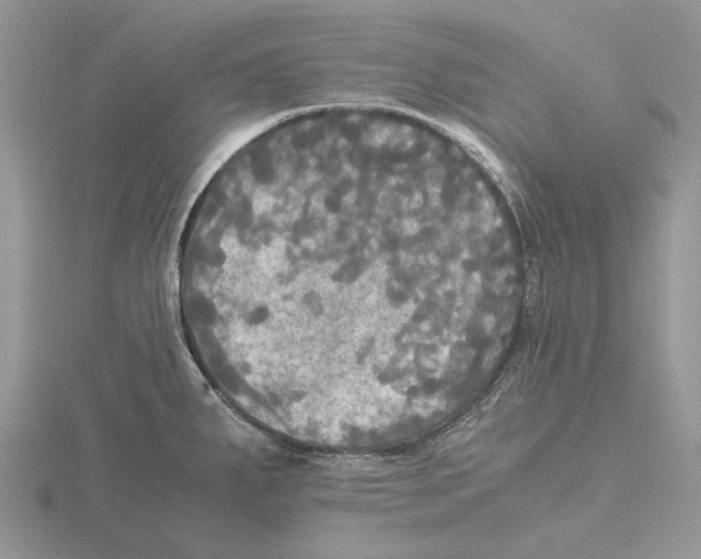 X0000115661287200912101044