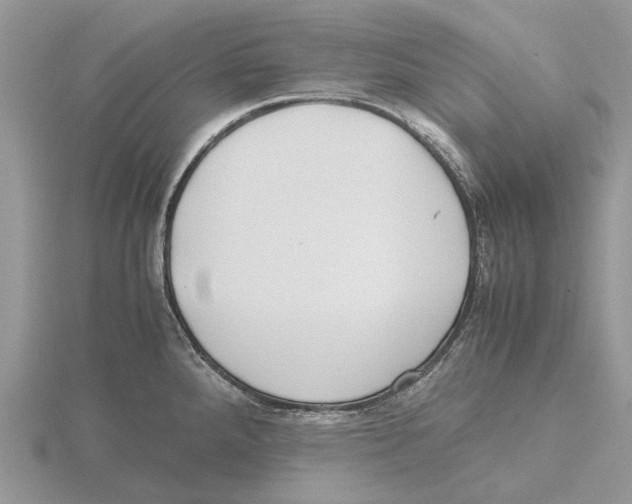 X0000115661288200912101044