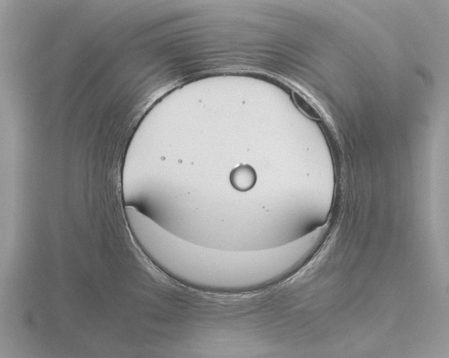 X0000115661289200912101044