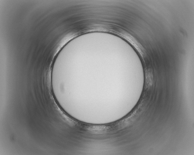 X0000115661290200912101044