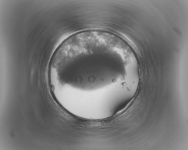 X0000115661291200912101044