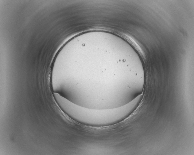 X0000115661292200912101044