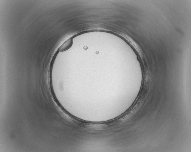 X0000115661293200912101044