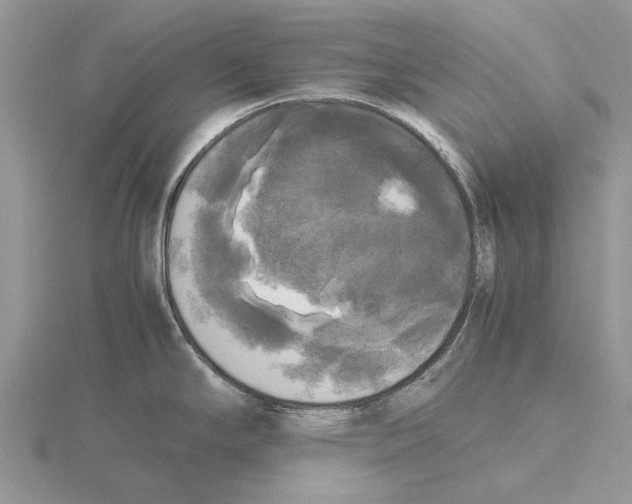 X0000115661294200912101044