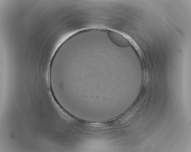 X0000115661295200912101044