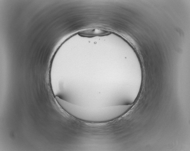 X0000115661296200912101044