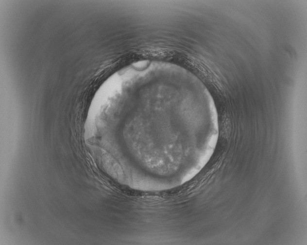 X0000115661297200912101043