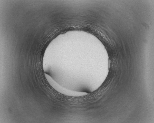 X0000115661298200912101043