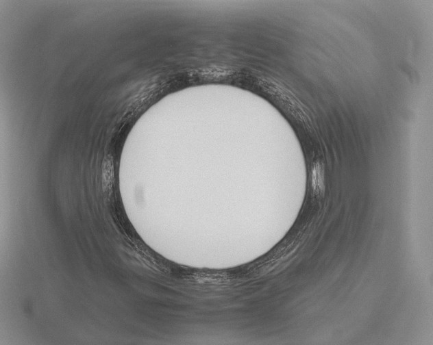 X0000115661299200912101043