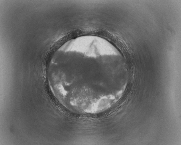 X0000115661301200912101043