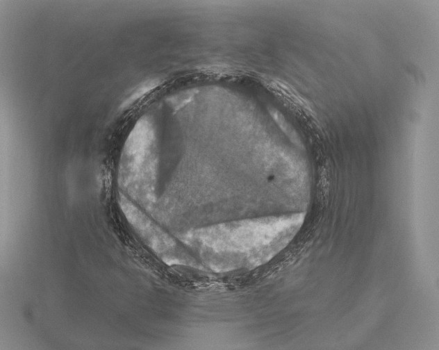 X0000115661302200912101043