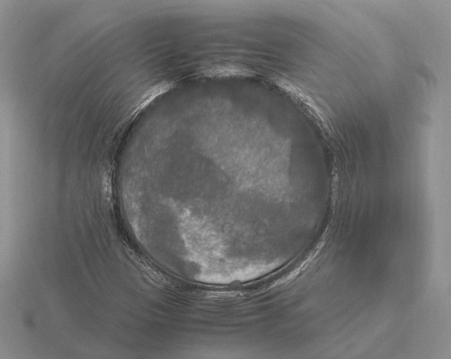 X0000115661305200912101043