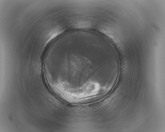 X0000115661306200912101043