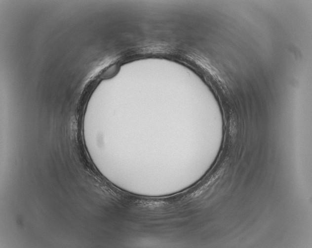 X0000115661309200912101043