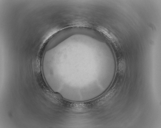 X0000115661310200912101043