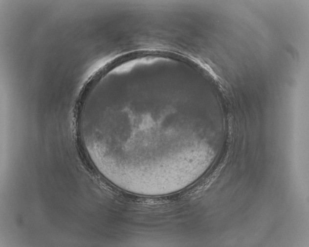 X0000115661311200912101043