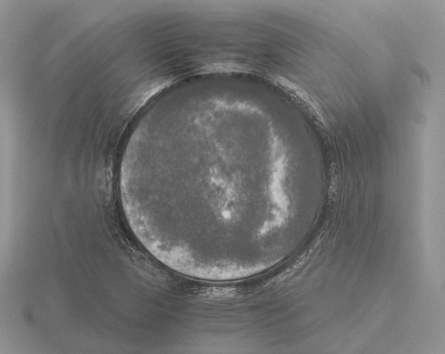 X0000115661313200912101043