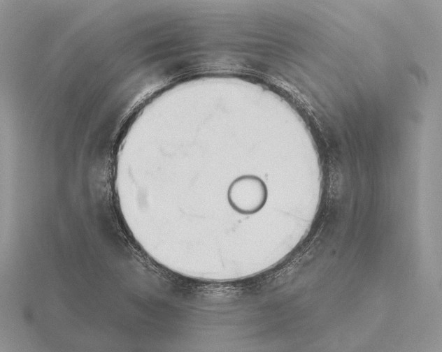 X0000115661314200912101043