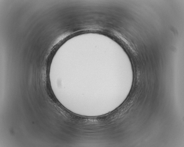 X0000115661315200912101043