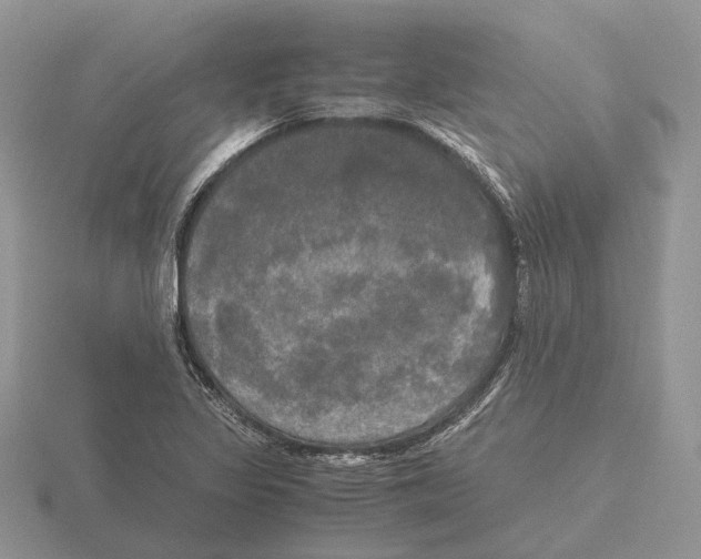 X0000115661317200912101043