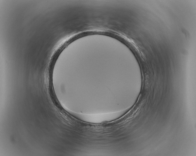 X0000115661319200912101043