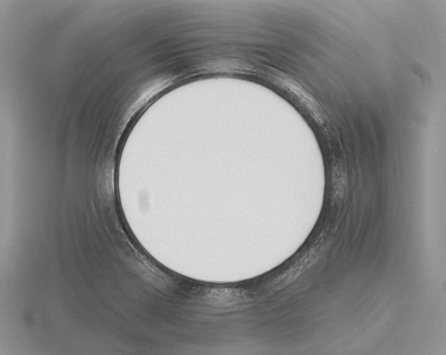 X0000115661322200912101043