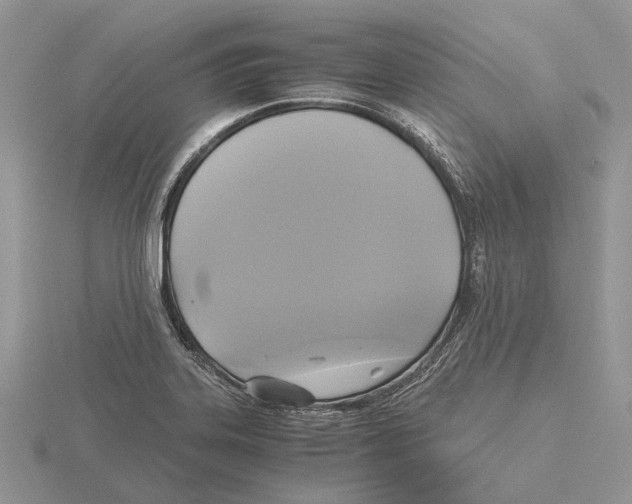 X0000115661323200912101043