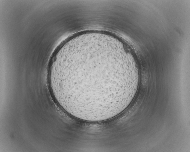 X0000115661326200912101043