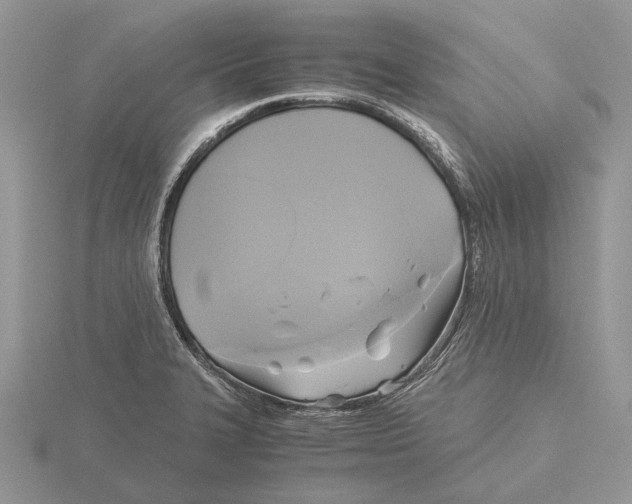 X0000115661327200912101043