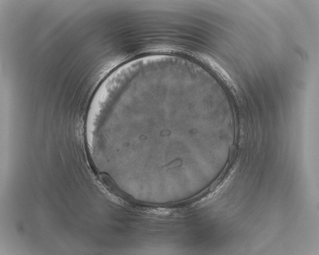 X0000115661329200912101043