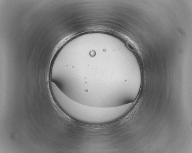 X0000115661330200912101043