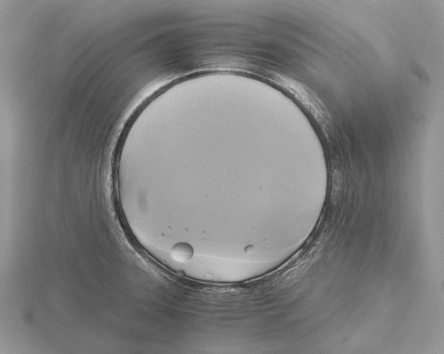 X0000115661331200912101043